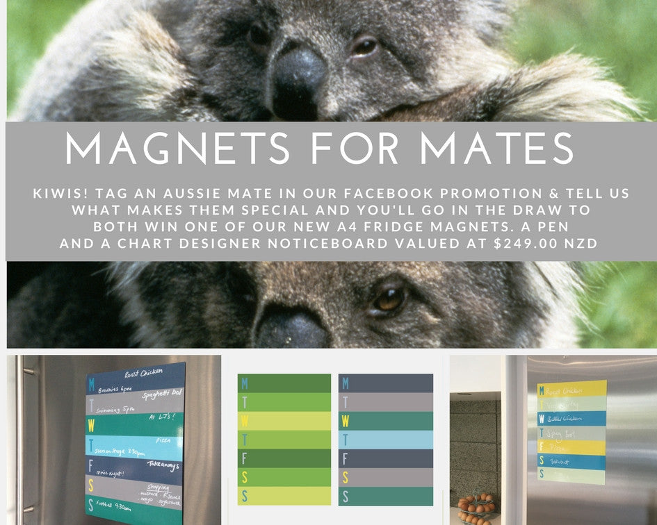 Magnets for Mates